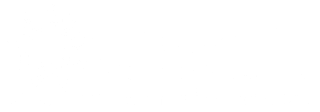 ASAN — American South Asian Network